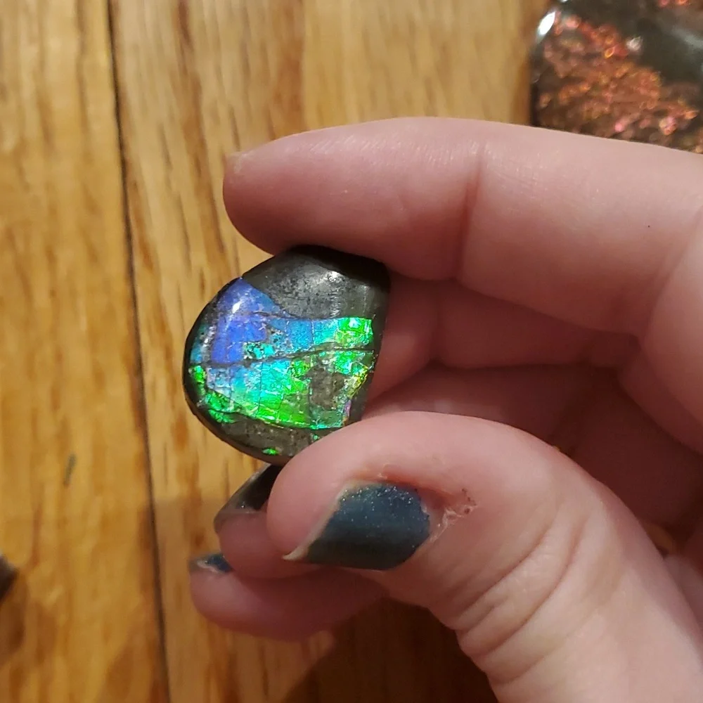 Ammolite fossil lot - Picture 7 of 12
